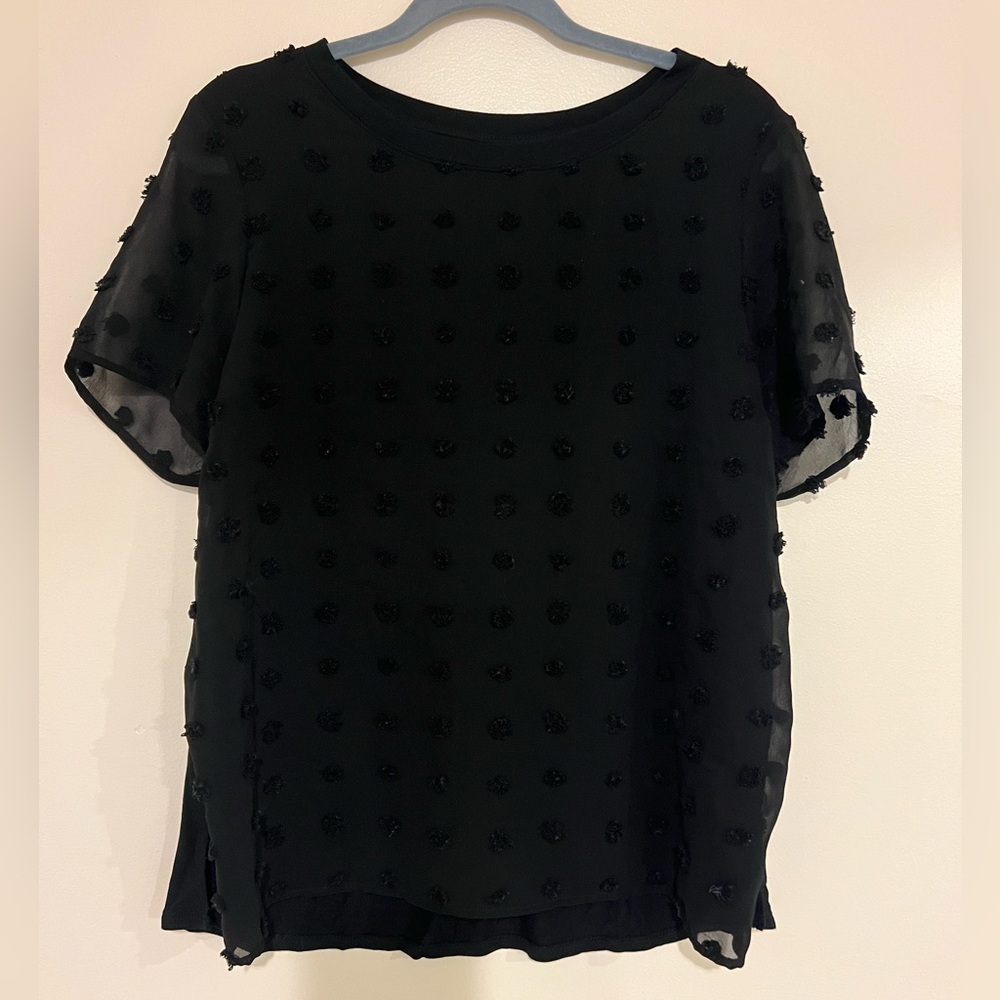Kaileigh Black Blouse with Sheer Sleeves